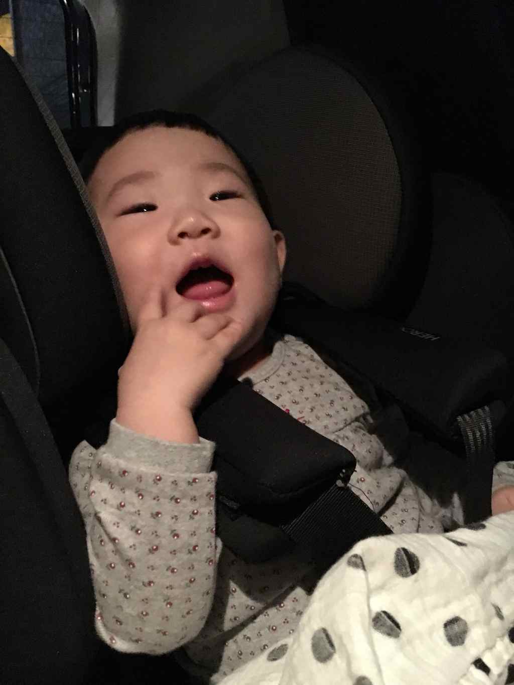 유아용 카시트