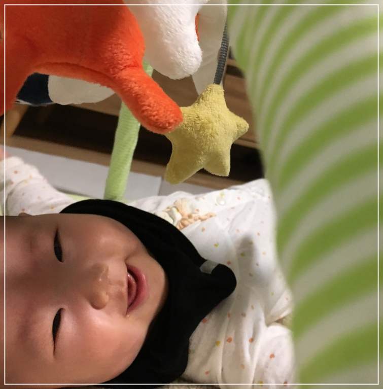 6개월 아기가 좋아하는 장난감
