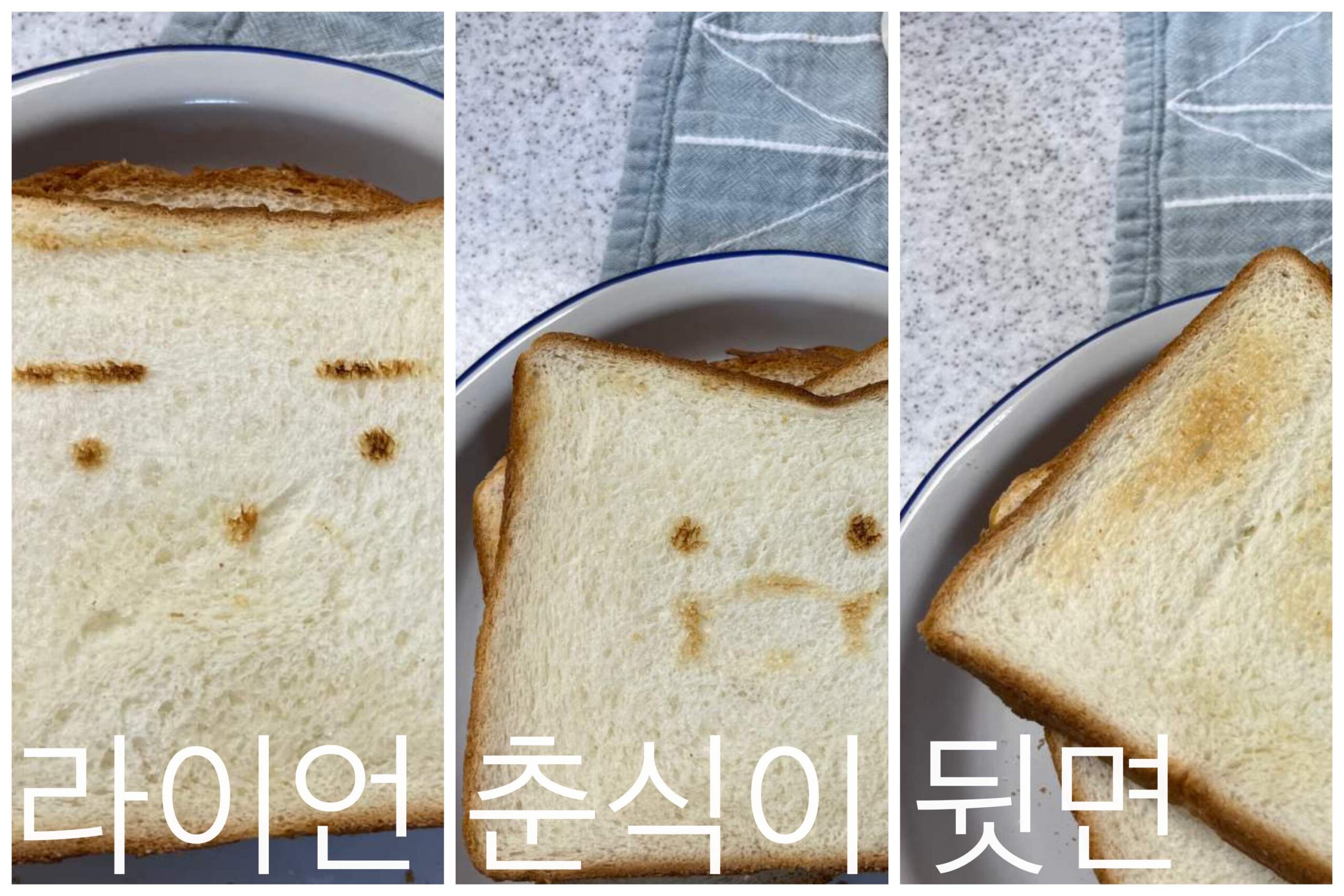 라이언과춘식이 식빵

